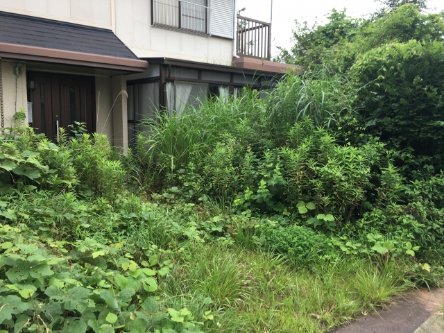 雑草が伸びた空き家の庭
